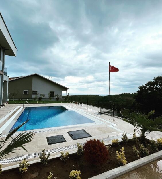 491418_1732023_145829690